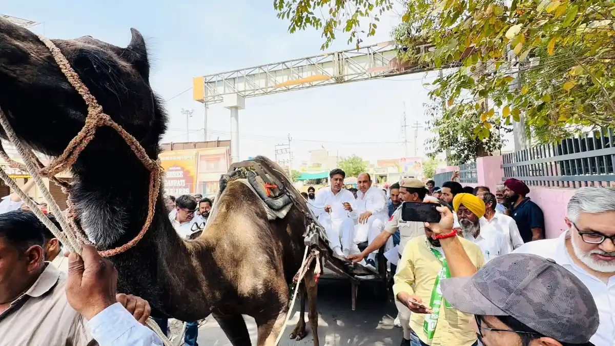"ऊंट गाड़ी का बायोमेट्रिक कैसे करोगे?" विधायक आदित्य चौटाला के तीखे सवाल से डबवाली मंडी में मचा हड़कंप!